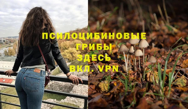 меф Армянск